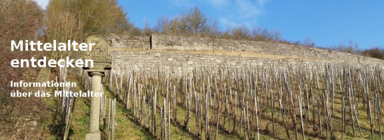Die Merowinger und ihre Herrschaft über das Frankenreich